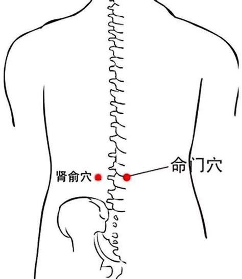 八穴|八髎穴作用：緩經痛、失眠、便秘！睇清八髎穴位置解。